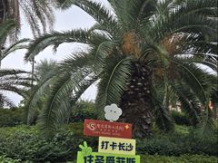 -圣爵菲斯大酒店(长沙世界之窗店)