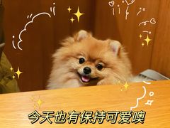 -yokocho上横町·日本食街(深业上城店)