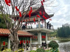 -深圳龙潭公园