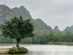 -南宁花花大世界景区