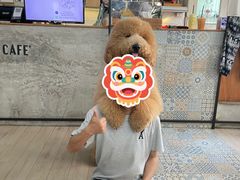 -Dog in Town Ekkamai