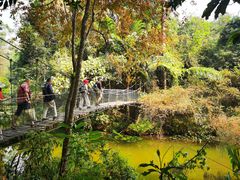 -中国科学院西双版纳热带植物园