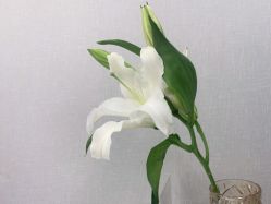 -梵茜儿·头道汤养生馆