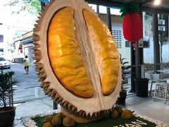 -都念榴莲·城市榴莲