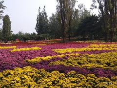 -北京植物园-展览温室