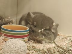 -龙猫仔乐园(惠福东路店)