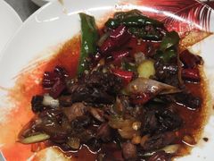 -鼎原力量东北吊炉烧烤(幸福街店)