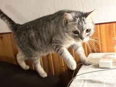 -隅cafe(傅厚岗店)