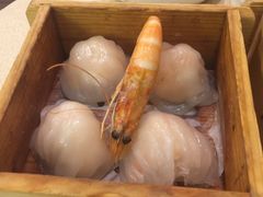 -乙龍天