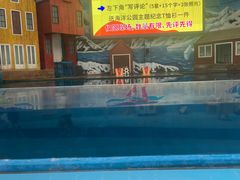-西安曲江海洋极地公园