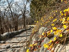 -阳台山自然风景区