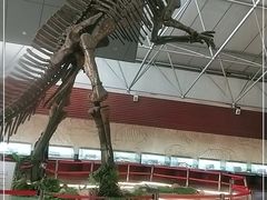 -诸城市恐龙博物馆
