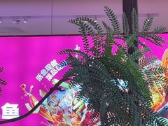 -老板恋上鱼(恒隆广场店)