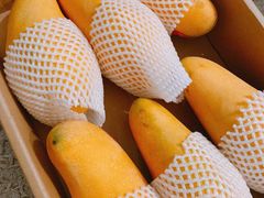 -江杨农产品批发市场