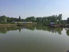 -太阳岛度假酒店