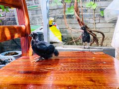 -伊隆斋(什刹海店)