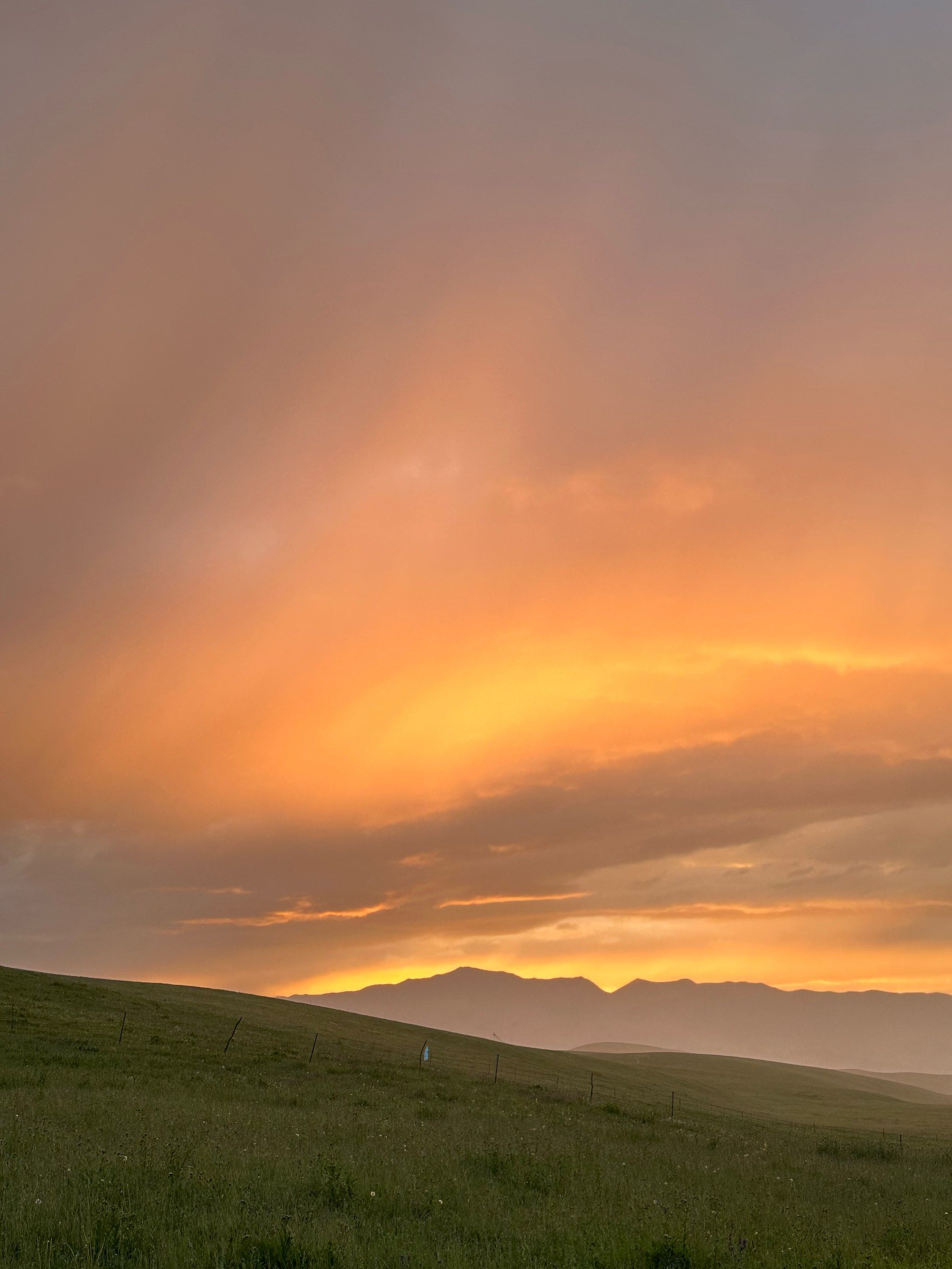 雨中的桑科草原也很美