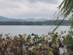 -苏堤停车场