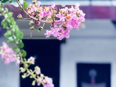 -南华寺素食馆(南华禅寺店)