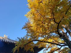 -红螺寺