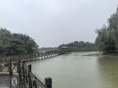 -泗洪洪泽湖湿地景区