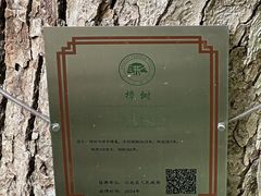 -宁波市保国寺古建筑博物馆