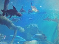 -多彩贵州城极地海洋世界