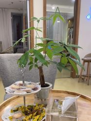 -塑青春&伊肤泉祛痘皮肤管理