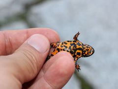 -松花湖风景名胜区
