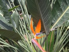 -南通洲际绿博园