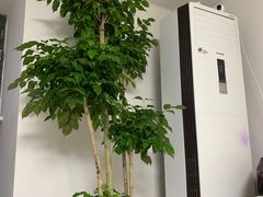 -万达广场(南昌红谷滩店)