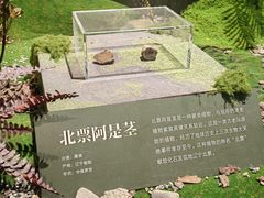 -遇见博物馆(遇见海洋沉浸式奇幻光影展)