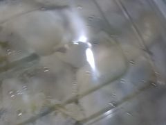 -七菜馆·东北菜·蒸饺(文体路店)