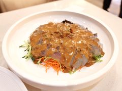 东北拉皮-普天和酒楼(天津之眼店)