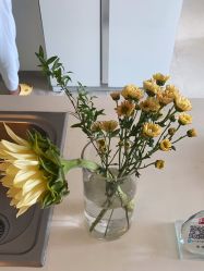 -奕美功能性体态调整·塑型·产后恢复(永利国际店)