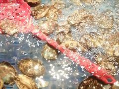 -焰江山海鲜牛排烤肉自助(锦华万达二星店)