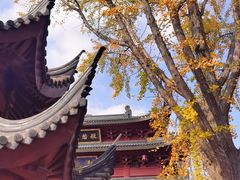 -上海东林寺(金山区)