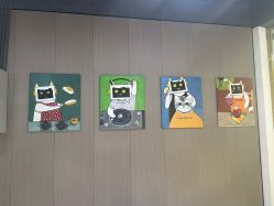 -洗脸猫·洗脸吧(北京大兴大悦春风里店)