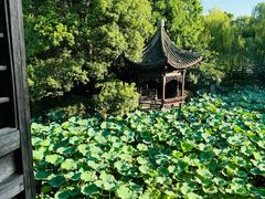 -乌镇景区