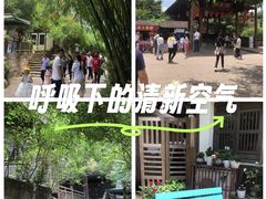 -五凤溪古镇