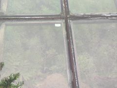 -峡谷浮石林景区