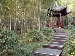 -游子山休闲旅游区