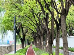 -上海山野camping·户外天幕烧烤·团建拓展营地