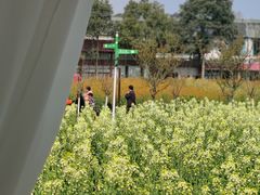-洪湖家庭农场·团建·露营·会议
