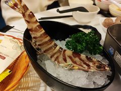 -鲜入围煮花胶鸡海鲜火锅