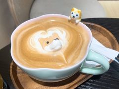 -逗柴咖啡屋·狗咖猫咖宠物桌游