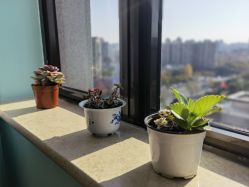 -爱尔乐美孕产瑜伽·普拉提