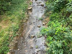 -西双版纳原始森林公园