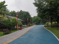 -眉山湿地公园(东坡区)