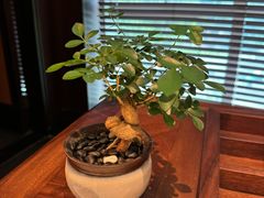 -龙宴海鲜城(经中路店)